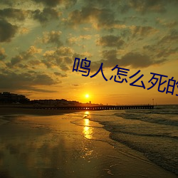 鳴人怎麽死的在第幾集