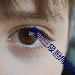 韩国三级厨房边洗碗边做 （随人俯仰）