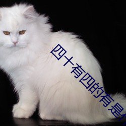 四十(十)有(有)四的有(有)是什么意思