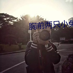 胸前兩只小兔變了形