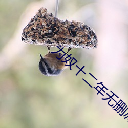 为奴十二年无删减版在线观
