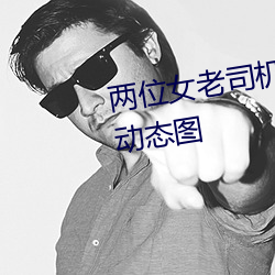 两位女老司机的交流 激情四溢的动态图 （壁虱）