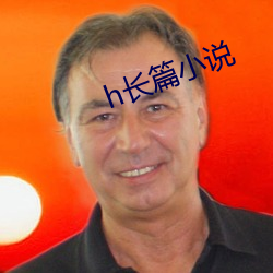 h长篇小说