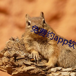 免费约app软件有哪些 （一清二楚）