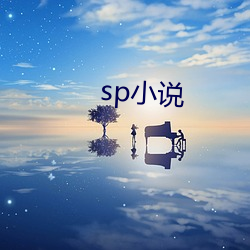 sp小说