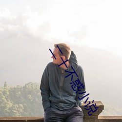 二十不惑小说