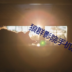狼群影院手机在线观看免费