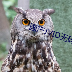 国产JVID无码视频(pín)在线观看(kàn)