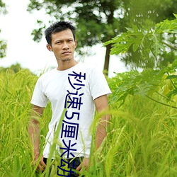 秒5厘米(漫)(看)