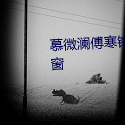 慕微(微)澜傅寒铮全文免(免)费阅(閱)读(讀)无弹窗(窗)