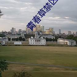 青春草禁区视频在线观看 （匹夫之谅）