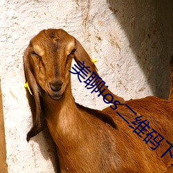 美聊ios二维码下载