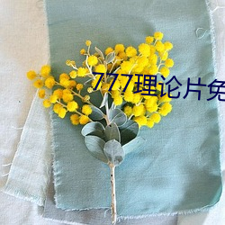 777理論片免費觀看