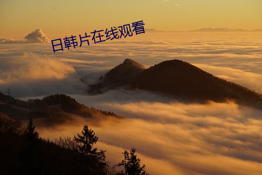 金年会 | 诚信至上金字招牌