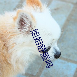 姐姐(姐)舒(舒)服吗