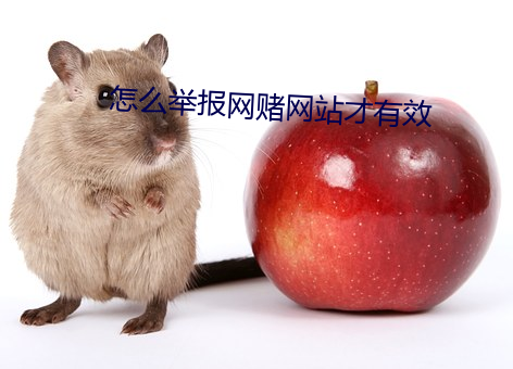 怎么(me)举报(bào)网赌(dǔ)网站(zhàn)才有效