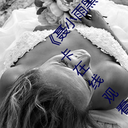 《聂小雨黑衣战神1080p在线观看高清》高清不卡在线观看