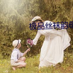 极品(品)丝袜韵母(母)