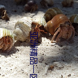 亚洲精品一区二区成人 （超新星）