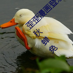 歪歪漫画登录页面免费漫画入口首页在线登录秋蝉免 （卸包袱）