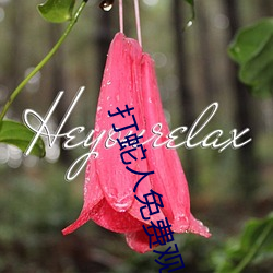 打(打)蛇人免费(費)观看完整版