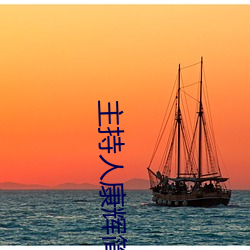 主持人康辉简介资料
