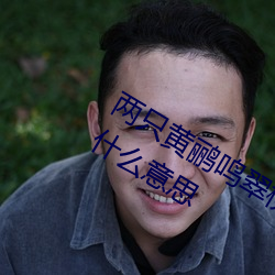 两只黄鹂鸣翠柳你还没有男朋友歌词(cí)是什么(me)意思(sī)