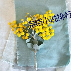 完(完)结小(小)说(說)排行(行)榜
