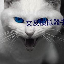 女友模拟器手机中文版下载 （风云变态）
