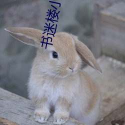 金年会 | 诚信至上金字招牌