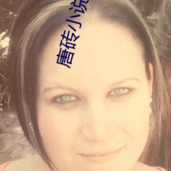唐砖小说