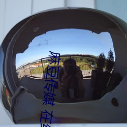麻豆传媒 在线