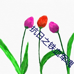 抗日(日)之铁(鐵)血军(軍)魂