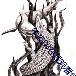 午夜DJ在线(xiàn)观看免(miǎn)费(fèi)完整(zhěng)版