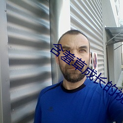含羞草成長的視頻
