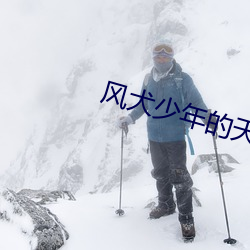 风犬少年的天空电视剧完整