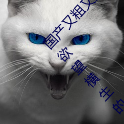 国产又粗又猛又爽又黄的视频小编力荐:一款令人欲望横生的