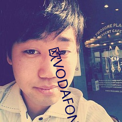欧VODAFONEWIFI69