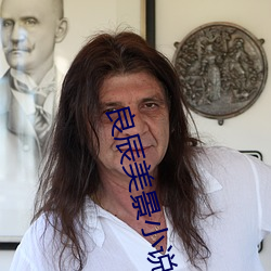 良辰美景小說