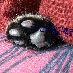 三上悠亚(yà)操翻(fān)了无码日韩专