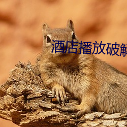 酒店播放破解 （死有余辜）