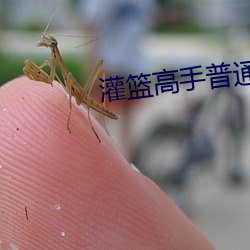 灌篮高手普通话国语版在线