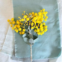 ADN