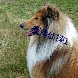 魔角侦探1
