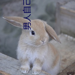男人(rén)自(zì)己安慰自己(jǐ)的新奇方法