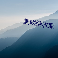 美咲结衣屎 （劫匪）