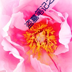 盜墓筆記之怒海潛沙
