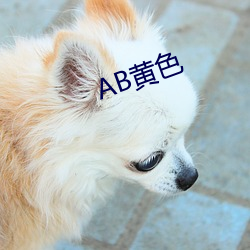 AB黄色 （宽容）