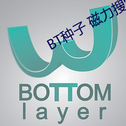 BT种子 磁力搜索
