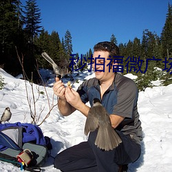 秒拍福微广场